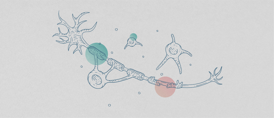 Pathophysiological_basis_1150x500X2.png Illustration of neuron against backdrop of colored circles.