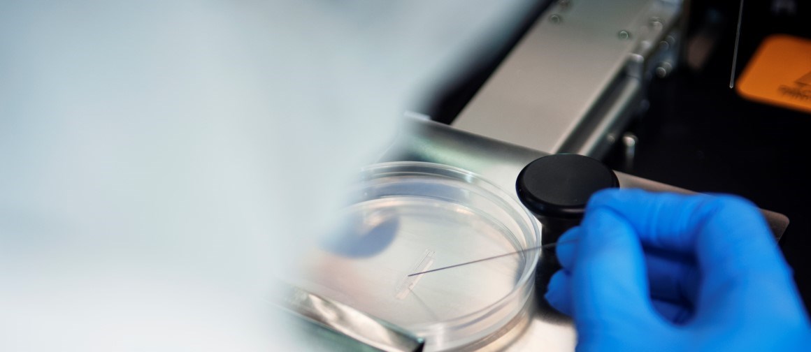 Petri_dish_1160x500.jpg Hand of scientist working with a petri dish.